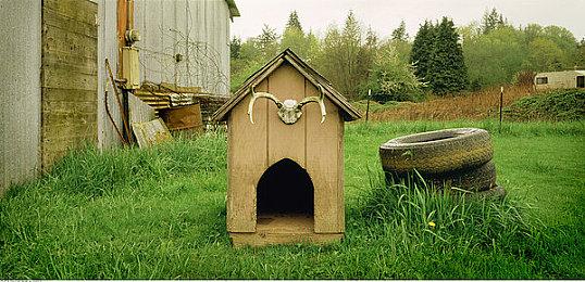 《合作房车模拟器》11月开启抢先体验 荒野生存冒险